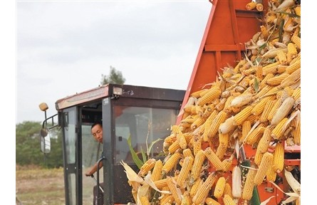 農(nóng)業(yè)農(nóng)村部緊急調(diào)劑調(diào)運(yùn)救災(zāi)機(jī)具 保障黃淮地區(qū)秋糧搶收搶烘