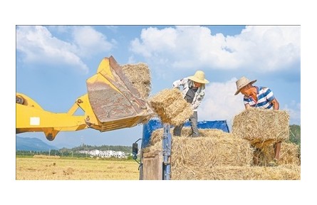 秸稈回收 助農(nóng)增收