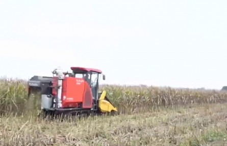 山西農(nóng)技農(nóng)機(jī)服務(wù)下沉秋收一線搶收