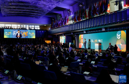 2025年世界糧食論壇在羅馬開幕 糧農(nóng)組織慶祝成立80周年