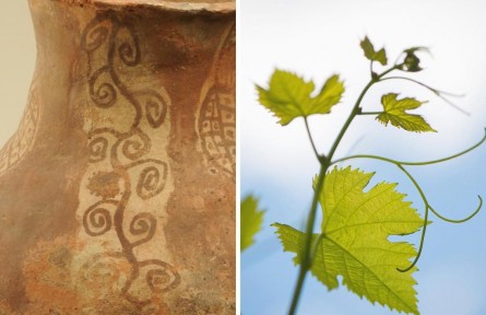 新疆最早的葡萄園 被先民手繪下來了