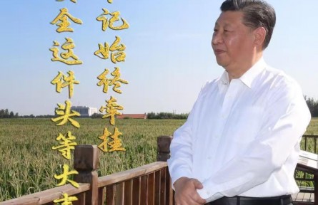 微視頻|糧食安全這件頭等大事 總書(shū)記始終牽掛
