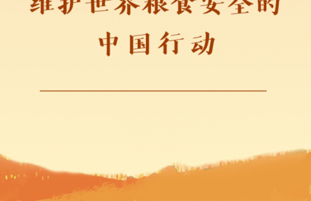 第一觀察|維護(hù)世界糧食安全的中國(guó)行動(dòng)