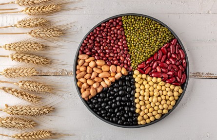 科技名詞|糧食安全 food security