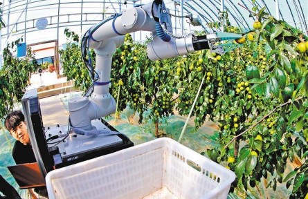 智慧農(nóng)業(yè)