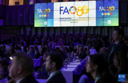 聯(lián)合國糧農(nóng)組織舉行世界糧食日暨成立80周年慶?；顒?></a></td>
<td align=