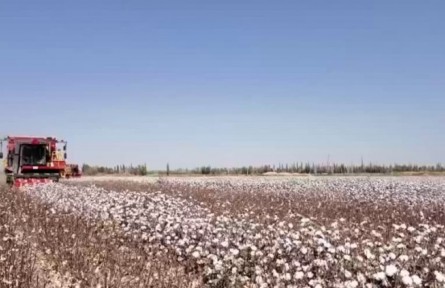 甘肅：智慧農(nóng)業(yè)繪就沃野好“豐”景