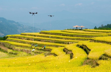 年收入約18萬億元！鄉(xiāng)村產(chǎn)業(yè)繪新貌
