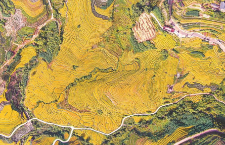 福建：谷豐倉滿，糧安八閩