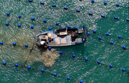 福建連江：“海洋牧場(chǎng)”耕作忙