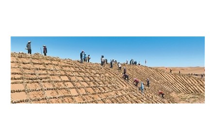 麥草方格，方寸之間鎖流沙