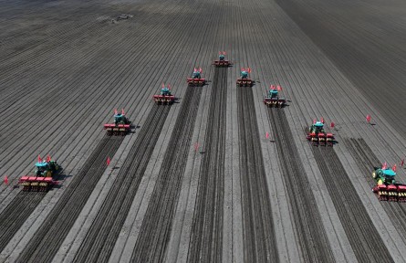 守好糧食生產(chǎn)的命根子！我國擬立法加強耕地保護(hù)和質(zhì)量提升