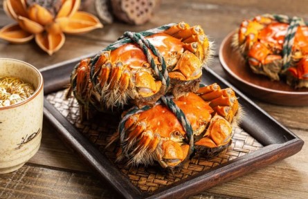 辟謠|剛死的螃蟹，到底能不能吃？