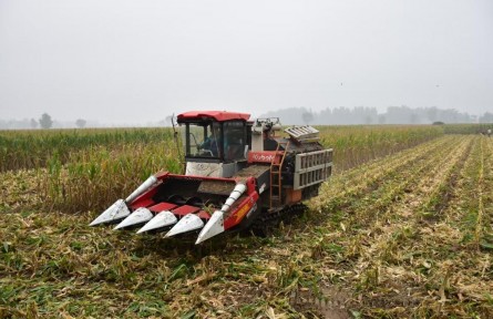 如何打好秋收秋種這場硬仗？