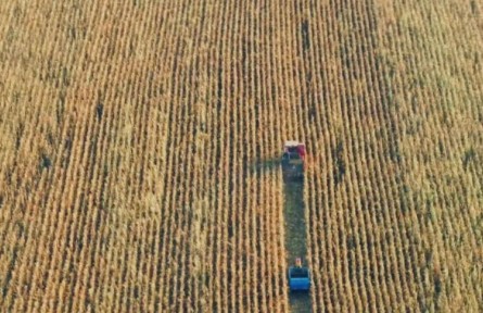 吉林秋收“加速度”，進(jìn)度同比提速5%