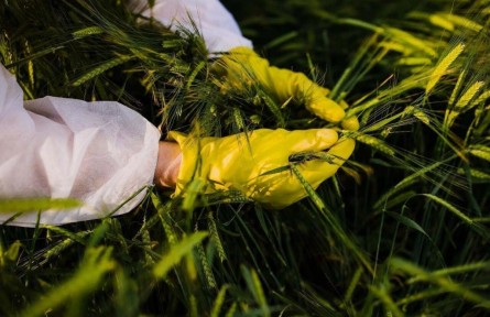 斬斷田間竊密黑手！間諜在我國搜集農(nóng)作物基因數(shù)據(jù)