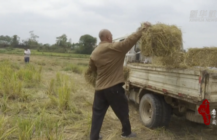 湖南祁陽(yáng)：“生態(tài)循環(huán)”激活鄉(xiāng)村振興“雙贏路”