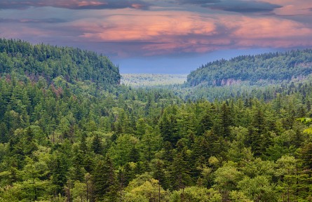 科技名詞|自然保護區(qū) nature reserve，nature sanctuary