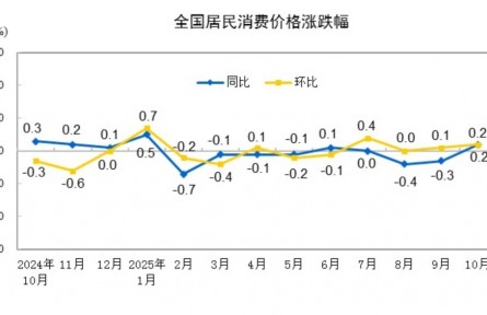 國(guó)家統(tǒng)計(jì)局：10月份居民消費(fèi)價(jià)格同比上漲0.2%