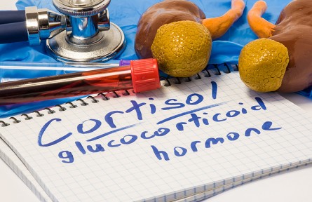 科技名詞|糖皮質(zhì)激素 glucocorticoid；glucocorticosteroid