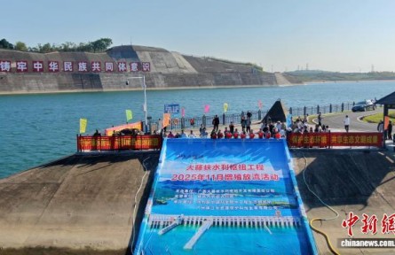 廣西大藤峽工程累計(jì)放流近2000萬尾魚苗 保護(hù)珠江流域生物多樣性