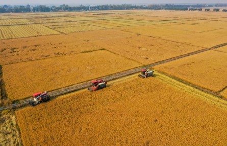 增肥黑土地 筑牢大糧倉(cāng)——吉林加強(qiáng)黑土地保護(hù)一線(xiàn)觀(guān)察