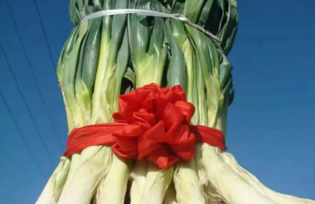 家鄉(xiāng)特優(yōu)農(nóng)產(chǎn)品大學(xué)生推薦官 | 品牌智庫建議⑦：澤州巴公的金蔥之路