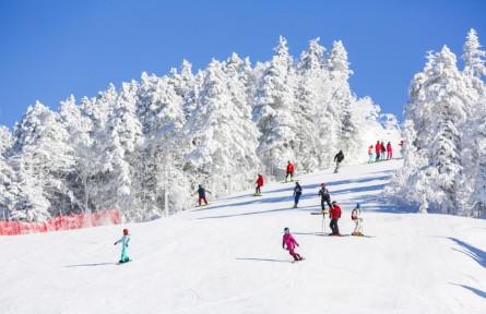 新雪季來吉林看什么？“國際大賽+全民冰雪”的雙向開嗨！