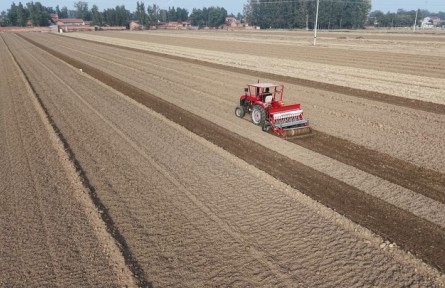 今冬不放松，來年“豐”可期——多地冬種及田間管護見聞