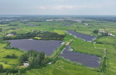 “漁”光互補養(yǎng)出“致富蟹”