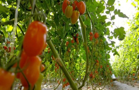 甘肅省定西市：寒旱塬上冬耕忙 穩(wěn)糧增收促振興