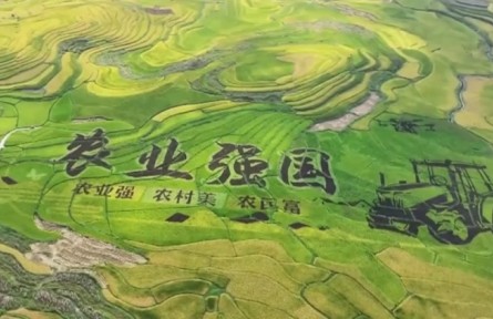 【踐行新發(fā)展理念 中國經(jīng)濟行穩(wěn)致遠】鄉(xiāng)村全面振興扎實推進 農業(yè)農村現(xiàn)代化邁出堅實步伐