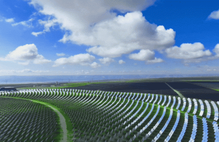 牧光互補(bǔ)！戈壁變“金灘”的雙贏密碼