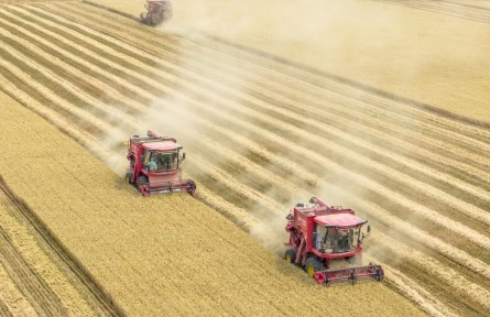 筑牢發(fā)展安全根基 守住風險防控底線——解碼中國經(jīng)濟穩(wěn)健前行的底氣