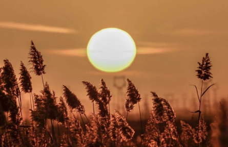 甘肅敦煌：大漠孤煙直，黨河落日圓