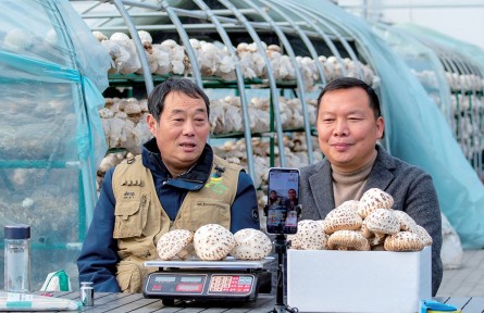 魏綠峰:匠心育菇香 技能富鄉(xiāng)鄰